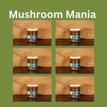 Load image into Gallery viewer, Mushroom Mania!
